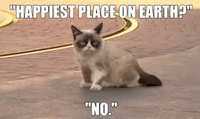 Submitted 1 hour ago by 1000_cats_. Good Morning Grumpy Cat Gif Grumpy Cat