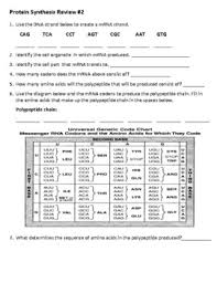 How are dna and mrna alike? Protein Synthesis Review Worksheets Teaching Resources Tpt