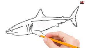 We did not find results for: How To Draw A Great White Shark Step By Step Easy For Kids Simple Sharks Drawing Tutorial Youtube