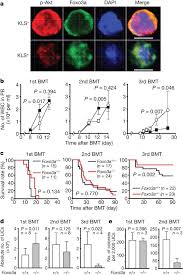 Maybe you would like to learn more about one of these? Tgf B Foxo Signalling Maintains Leukaemia Initiating Cells In Chronic Myeloid Leukaemia Nature