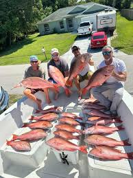 Live Action Charters added a new photo.