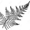 Une plante d'intérieur contribue à embellir les pièces d'une maison et à apaiser son atmosphère. Https Encrypted Tbn0 Gstatic Com Images Q Tbn And9gcqpux7ey9mgyb7z1jr3rsgwl8l 6vyxeexkeaj3tjbbyq3xzmeb Usqp Cau