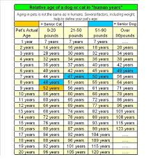 Pugsy Is 36 Dog Age Chart Dog Ages Pet Dogs