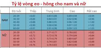 2 cách tính chỉ số cơ thể. Chá»‰ Sá»' Bmi Binh ThÆ°á»ng á»Ÿ Nam Va Ná»¯ Giá»›i Chinh Xac La Baonhieu Trendy