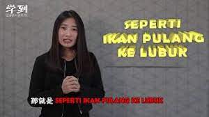 We did not find results for: Upsr Bm Seperti Ikan Pulang Ke Lubuk å­¦åˆ° Angelia Youtube