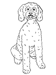 Kies een leuke kleurplaat uit en printen maar. Kleurplaat Labradoodle Leukekleurplaten Nl