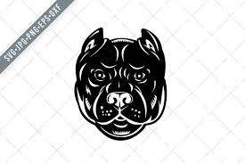 A collection of the top 68 pitbull wallpapers and backgrounds available for download for free. Head Of Pit Bull Or Pitbull Front View Retro Woodcut Svg 794499 Illustrations Design Bundles