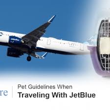 Jetblue operates a program known as jetpaws that gives owners all the tools and tips needed for smooth travel with their pets. Pet Guidelines When Traveling With Jetblue Esa Care