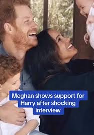 Meghan Markle Swat Harrys Hand