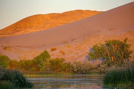 Mountain home is the largest city and county seat of elmore county, idaho, united states. 15 Best Things To Do In Mountain Home Idaho The Crazy Tourist