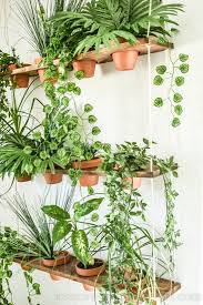 An indoor vertical garden, also known as a green or living wall, is a garden grown vertically against a wall. Diy Indoor Vertical Garden Jessica Welling Interiors