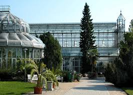 Der botanische garten im südwesten berlins gehört mit 43 hektar fläche und etwa 20.000 pflanzenarten nicht nur zu den. Botanischer Garten Und Botanisches Museum Berlin De