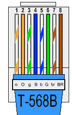 Straight through lan cables are the most common, and the pinout is the same if they are cat5e, cat6, or cat 7. Cat 5 Ethernet Cable Pinouts Hdmi Firewire Usb