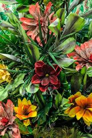 Artificial tropical plants and flowers. Elements And Details Of Interior Decor Home Floriculture Original Floral Summer Background Pattern From Artificial Tropical Exotic Bright Multicolored Colorful Flowers And Plants With Leaf Texture Stock Photo Picture And Royalty Free