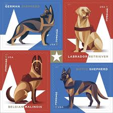 Personalized belgian malinois mug, belgian malinois dad mug, belgian malinois lover mug, belgian malinois dad gift n437 mugsfromtina. Military Working Dogs Now On Stamps