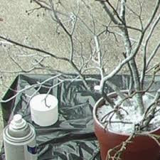 We did not find results for: How To Make A Gift Money Tree Hubpages