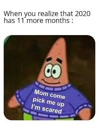 Fresh Memes That Sum Up January 2020 In 2020 Funny Memes Fresh Memes Funny Relatable Memes