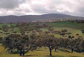 Grandola cheap pet friendly hotels. The 15 Best Things To Do In Grandola 2021 With Photos Tripadvisor