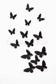 Black Butterfly Isolated On White Background Stock Photo Colourbox Silueta De Mariposas Decoracion De Pared Decoracion De Unas