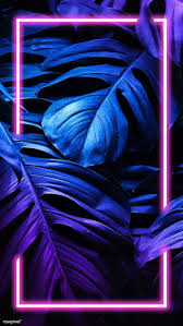 Blue Purple Light Violet Electric Blue Plant In 2020 Neon Wallpaper Screen Wallpaper Aesthetic Iphone Wallpaper