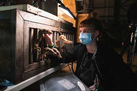 Dominion to take its place on the world stage. Jurassic World Dominion Wraps After 100 Days 40 000 Covid Tests Deadline