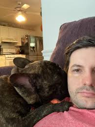 Dogs provide emotional support and comfort