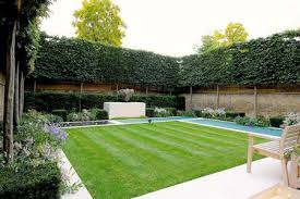 Not for a privacy fence but for beautiful hardy perennial terrestrial orchids contact the wild orchid this site might help you. How To Design A Privacy Fence Or Screen For Your Yard