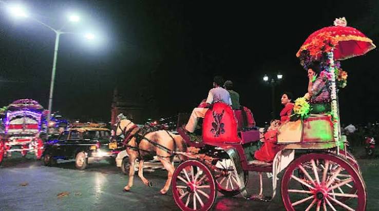 Bombay High Court orders ban on Victorias | Mumbai News - The Indian Express