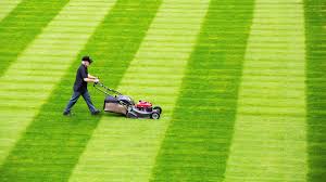 Our products feature original designs that range from versatile basics (we love alphabets and polka dots) to fun and quirky (yay for yetis!) and everything in between. How The Lawn Became A No Mow Area Financial Times