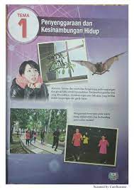 Berapi yang dikenali sebagai luapan piroklastik. Buku Teks Sains T3 Kssm Flip Ebook Pages 251 300 Anyflip Anyflip
