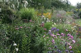 Der Garten Hakenbeck In Emmerich Vrasselt Garten Hakenbecks Webseite Garten