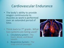 Cardiovascular Endurance Ppt Video Online Download