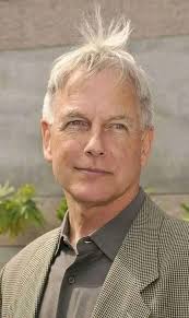 Please find the** relationship chart in the IW case**. This chart is not  yet completed. We (David and me) still develop it to the best of our  knowledge. Solid lines represent relations