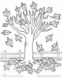 Pin Pa Autumn