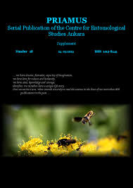 Image result for Erythrocephalum decipiens