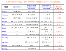 Formula baru bonus = jumlah baki minima setiap bulan bagi tempoh 12 bulan/12 x kadar bonus asb. Kalendar Penjual Bunga Untuk Bulan September 2019 Bunga Dalaman Dan Kebun Bekerja Di Taman Bunga Di Tempat Tidur Bunga Merawat Menanam Mentol Membahagi Memindahkan