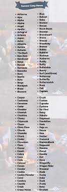 Find summer camp now at getsearchinfo.com! Camp Names 600 Best Camp Names Ideas