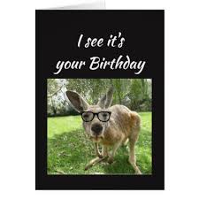 Fun Kangaroo Cheers Mate Australian Animal Humor Card Zazzle Com Australian Animals Australia Animals Animals