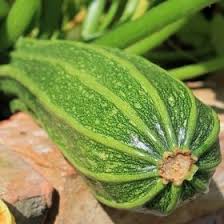 Pin Auf Zucchini Rezepte Sooo Lecker