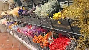We did not find results for: A Local Shop S Flowers Last Forever