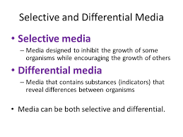 Selective And Differential Media Ppt Video Online Download
