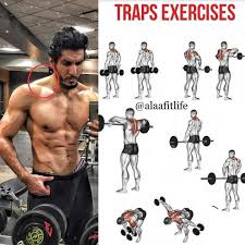 Pin By Brando Ibate On Fitness Traps Workout Exercise Workout Programs