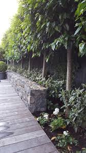 Beautiful Rock Wall Decking Rhododendron Princess Alice And Portuguese Laurels Rock Wall Gardens River Rock Garden Rock Wall Landscape