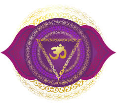 It deals with physical survival, safety, security, fear, and insecurity. Third Eye Chakra 6th Chakra Ajna Chakra 7wisdoms Org