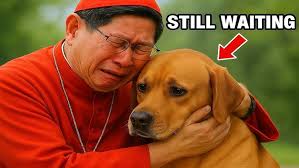 3 steps to Christmas