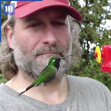 Man hand-feeds hummingbirds