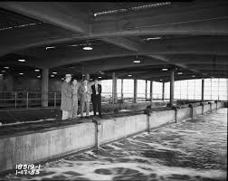 Water System Cityarchives Seattle Gov