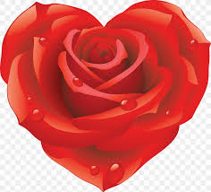Maybe you would like to learn more about one of these? Rose Wallpaper Png 3125x2840px Sticker Android Cut Flowers Emoticon Flower Download Free