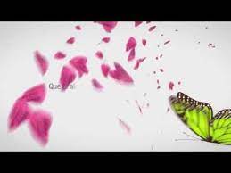 El Efecto Voluntariado Voluntarios Efecto Mariposa Youtube