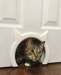 Pin By Kiyoko Nakago On Living With Cats Or Dogs Cat Door Pet Door Hidden Litter Boxes
